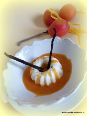 Recette Panna cotta au chocolat blanc,compotée d'abricots à la fève tonka