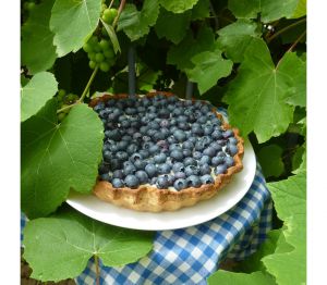 Recette Tarte aux bleuets