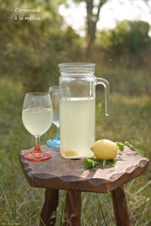 Recette Citronnade à la mélisse