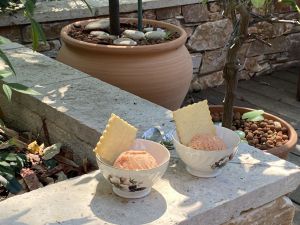 Recette Parfait glacé aux pêches et nectarines