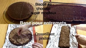 Recette Base pour entremets : Biscuit moelleux au chocolat et croustillant praliné base pour entremets