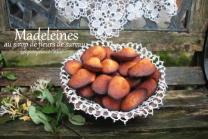 Recette Madeleines au sirop de fleur de sureau