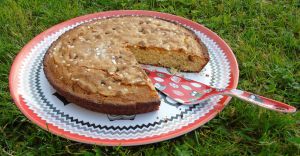 Recette Gâteau au yaourt amélioré