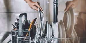 Recette Is the Hot Water in My Dishwasher Really Hot Enough to Kill Bacteria?