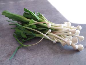 Recette Petit bouillon de poireaux sauvages