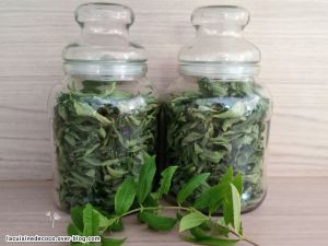 Recette Verveine citronnelle