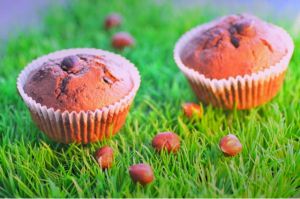 Recette Muffins choco / noisettes (escapade en cuisine de septembre)