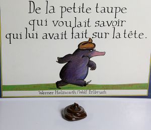 Recette Raconte-moi, chocolat : truffes aux 3 chocolats
