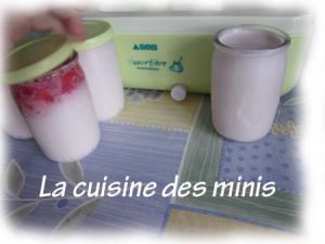 Recette Yaourts cassis et framboise
