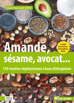 Recette Palets aux dattes et aux amandes (vegan)