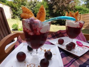Recette Panna Cotta aux Prunes et Épices de Pain d’Épices : Recette Savoureuse