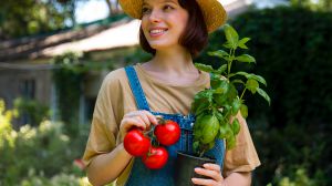 Recette Quand planter les tomates