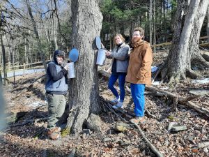 Recette Keystone College to host Maple Sugar Open House and 5K Run/Walk on March 3