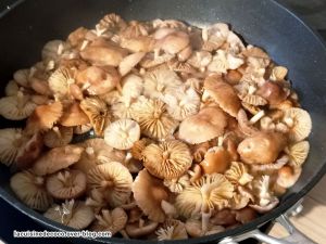 Recette Omelette aux Mousserons et pommes de terre