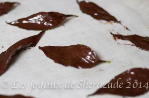 Recette Comment faire des feuilles en chocolat