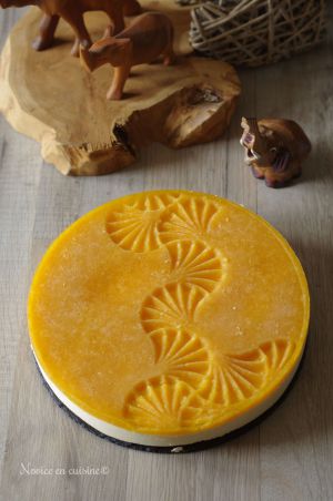 Recette Entremet vanille et mandarine