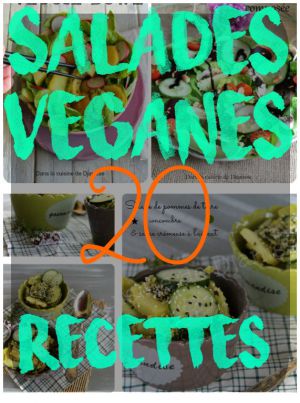 Recette Salades véganes en 20 recettes {Veggie Bowl}