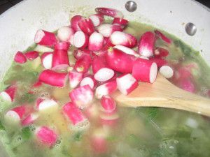 Recette Soupe froide de radis