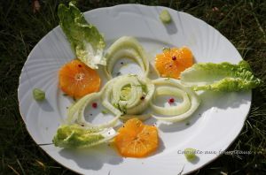 Recette Salade printanière au fenouil et à l'orange