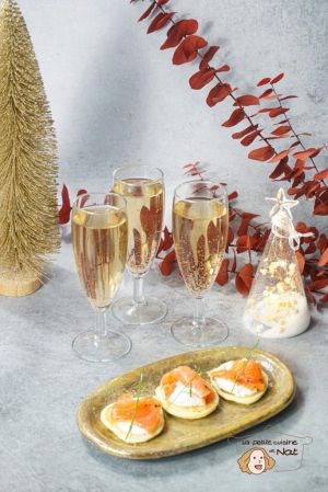 Recette Apéritif de noel – 17 recettes