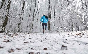 Recette 7 Plant-Based Proteins That Help With Muscle Recovery in Cold Weather