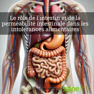 Recette Rôle de l’intestin et de la perméabilité intestinale dans les intolérances alimentaires et notamment le gluten