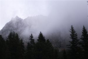 Recette Pal du cwc 2025