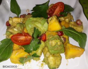 Recette Salade mangue/avocat/grenade