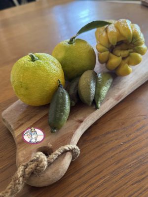 Recette Madeleine au citron et earl grey 11/10/2024