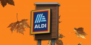Recette The Best Aldi Finds Under $10 in September
