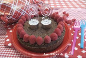 Recette Gâteau au chocolat noir et noix de coco au lait de coco, pour diabétique ou pas -IG bas