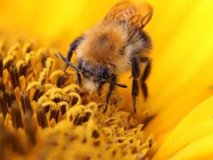 Recette Préparer la rentrée scolaire en toute sérénité