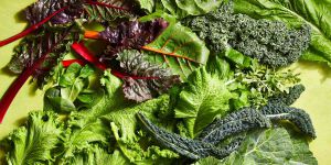 Recette How To Store Lettuce So It Stays Fresh and Crisp as Long as Possible