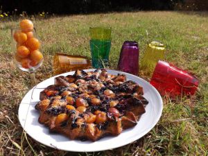 Recette Savoureux Fondant aux Mirabelles et Myrtilles – Recette Facile