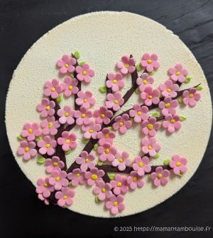 Recette Entremets sakura