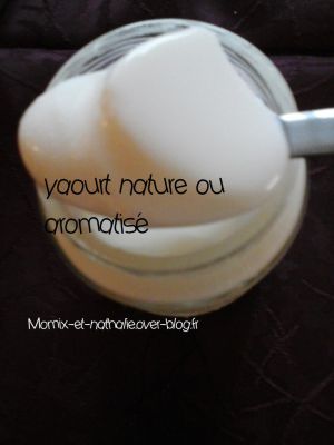 Recette Yaourts natures ou aromatisés