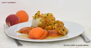 Recette Tajine de poulet  au safran et abricots confits