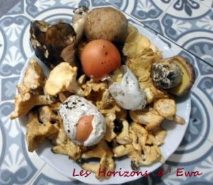 Recette Risotto aux girolles et oronges