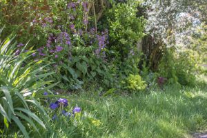 Recette Astuces : Aménager son jardin pour la biodiversité