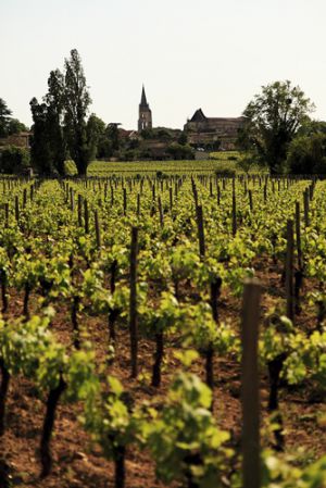Recette Vin devient patrimoine de la France