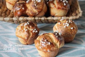 Recette Petits pains au lait ribot