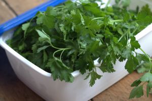 Recette Comment conserver les herbes aromatiques : persil, coriandre…