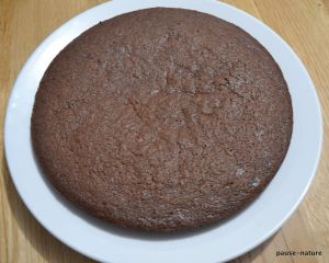 Recette Gâteau au chocolat à la butternut et fève tonka (sans beurre)