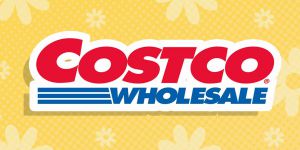 Recette Costco’s 8 Best Frozen Desserts