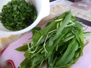 Recette PESTO d'Ail des Ours 2ème version mélange noisette, amande tournesol