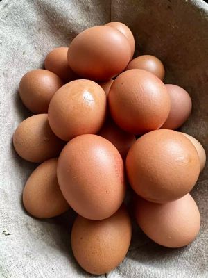 Recette Devilled Eggs (œufs mimosa)