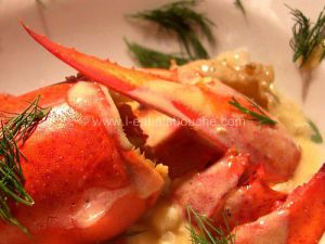 Recette Homard Et Langoustines Sauce Champagne Orange