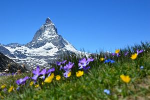 Recette Alpes suisses en été en voiture