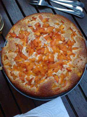 Recette Gâteau aux abricots, fleur d'oranger et polenta de Nigella