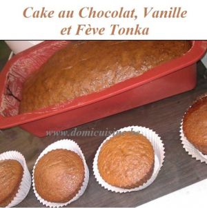 Recette Quand Maryse Cuisine: "Cake Vanille / Chocolat / Fève Tonka"